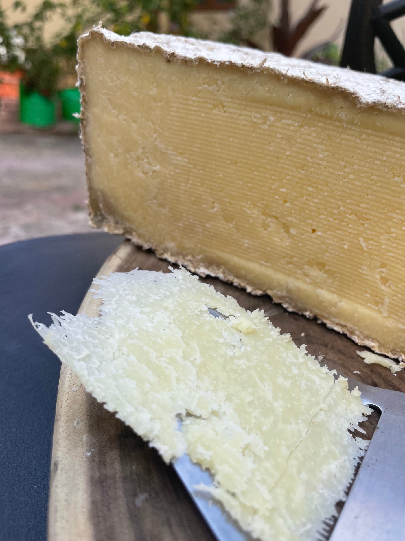 Parmesan