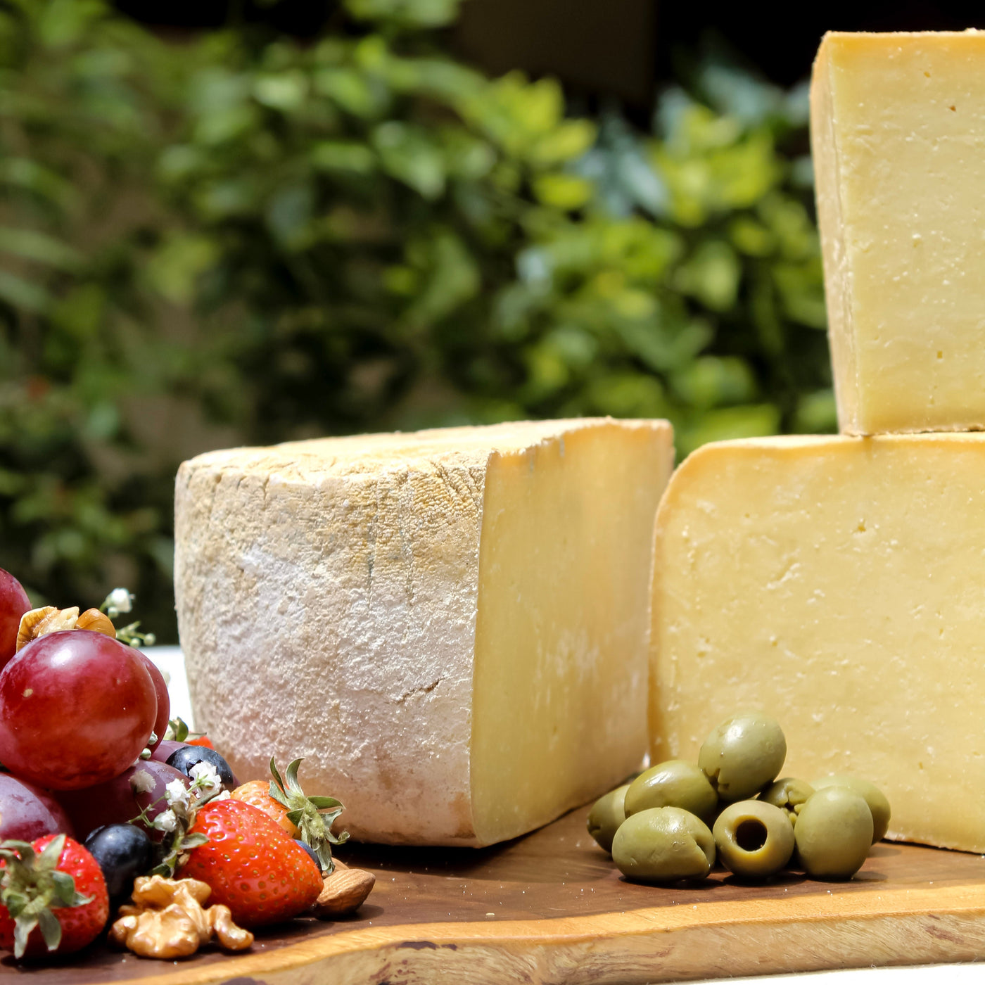Sampler Box of 4 Special Cheeses