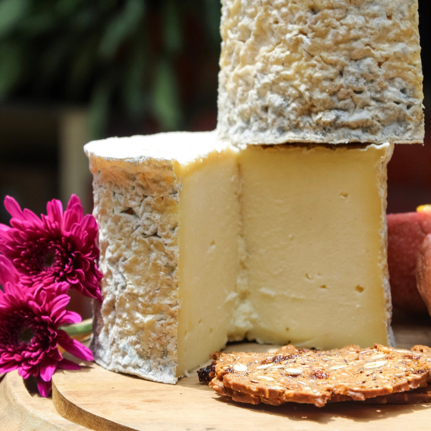 Sampler Box of 4 Special Cheeses