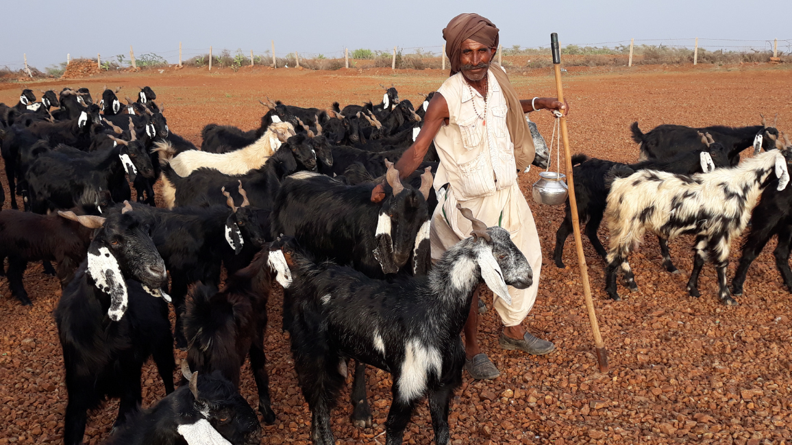 Artisan Cheese made in India with ethically sourced milk by Käse. Employs differently abled women. Shipping across India.